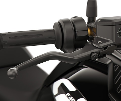 BMW F 450 GS reguleeritavad heeblid