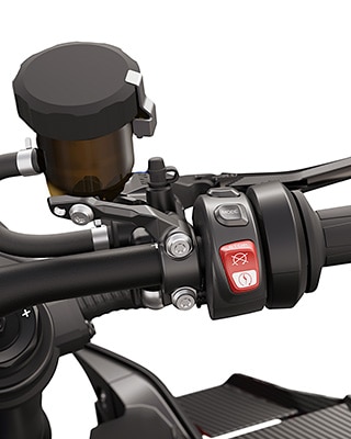BMW Motorrad M 1000 R M-kiirgaasi süsteem